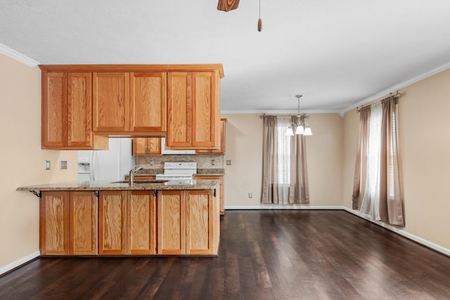 kitchen with a peninsula, ornamental molding, dark wood-type flooring, and white electric stove