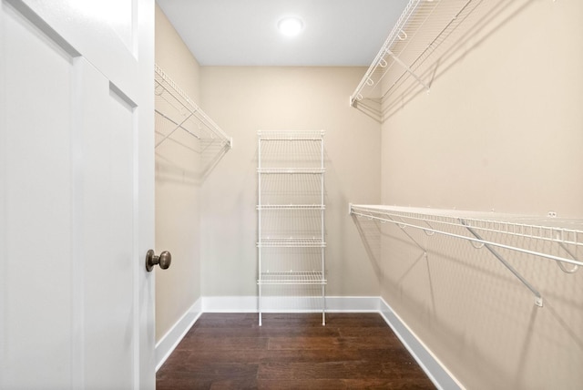 spacious closet with dark wood-style floors