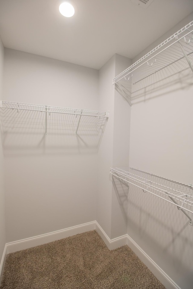 spacious closet with carpet floors