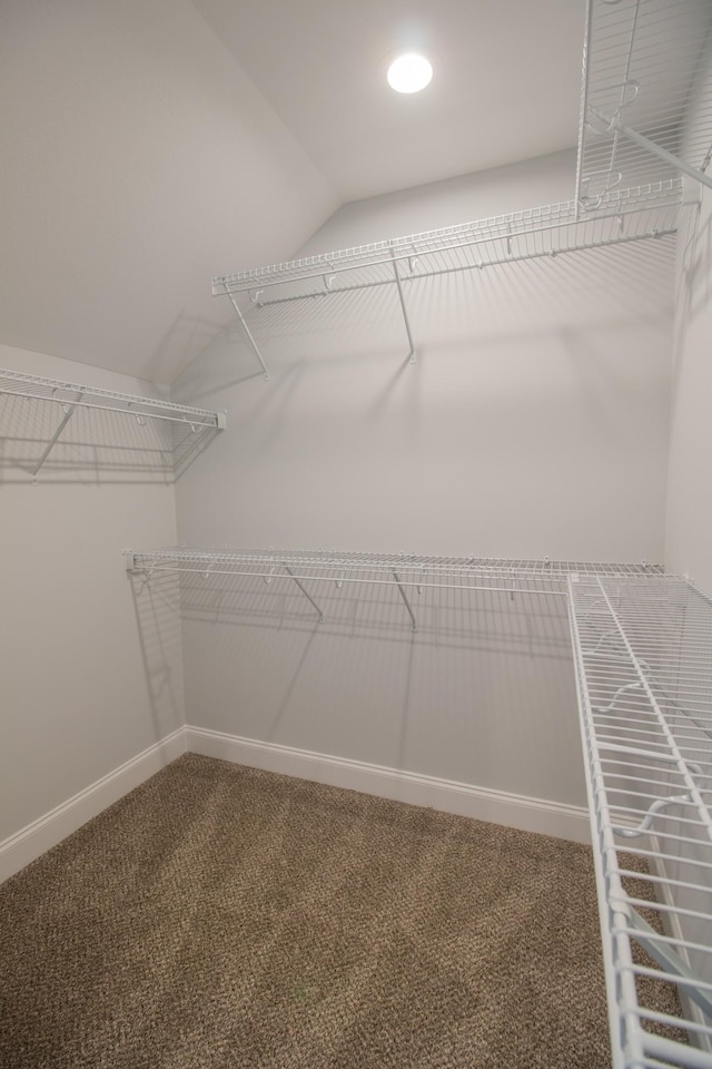 spacious closet featuring carpet