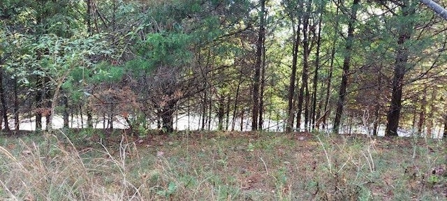 0 Emily Ln, Bell Buckle TN, 37020 land for sale