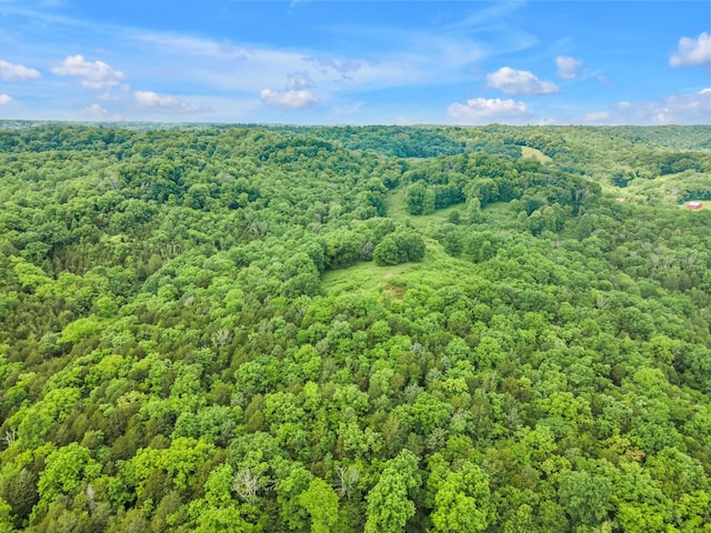 bird's eye view with a wooded view