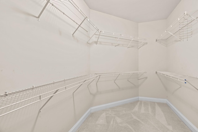 walk in closet featuring light carpet