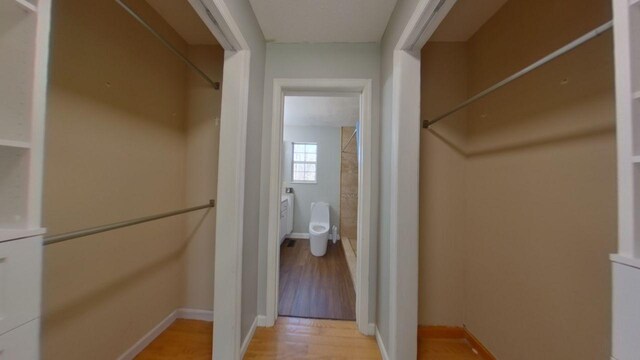 walk in closet featuring light wood finished floors