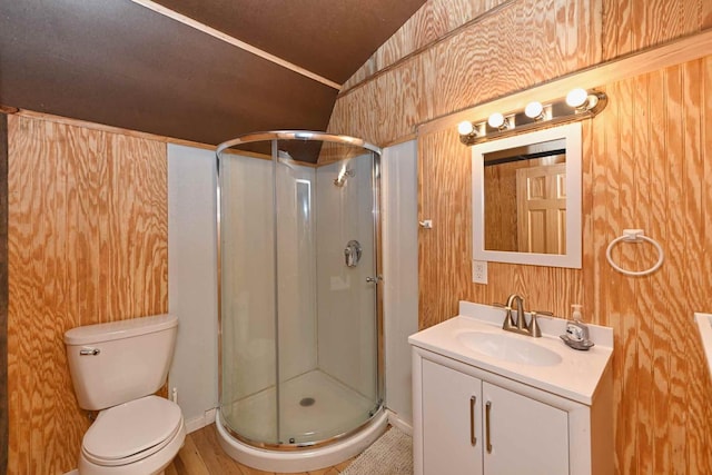 full bathroom featuring toilet, a stall shower, and vanity