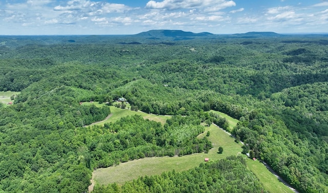 birds eye view of property featuring a mountain view and a forest view