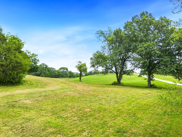 view of yard with driveway