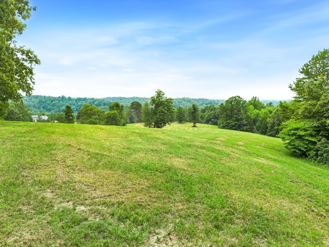 view of yard featuring a rural view