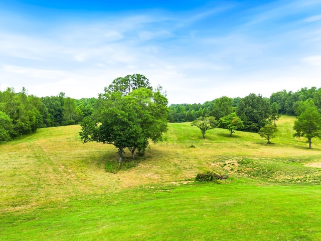 view of local wilderness