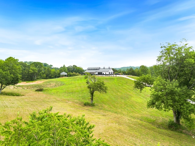 view of yard with a rural view