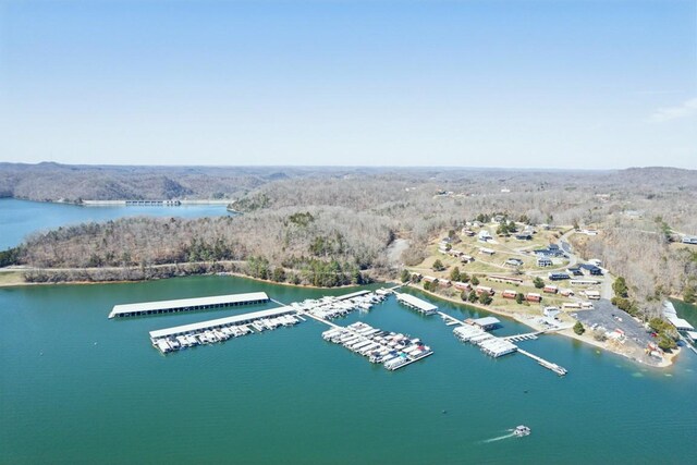 315B Bill Hunter Rd, Celina, TN 38551 - drone / aerial view with a view of trees and a water view