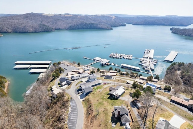 315B Bill Hunter Rd, Celina, TN 38551 - aerial view featuring a water view