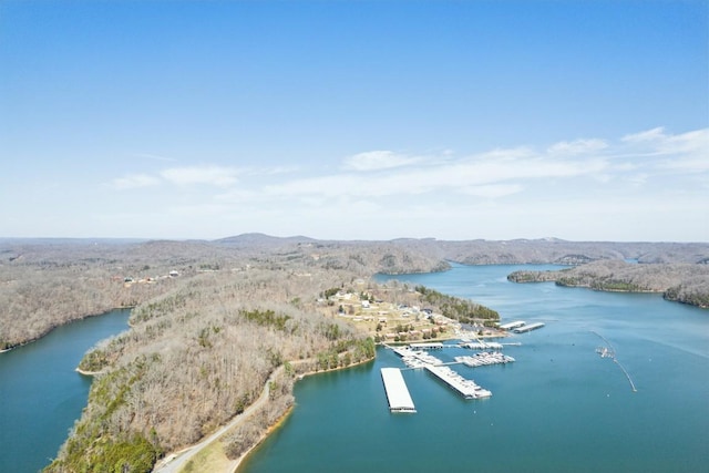315B Bill Hunter Rd, Celina, TN 38551 - bird's eye view featuring a view of trees and a water view