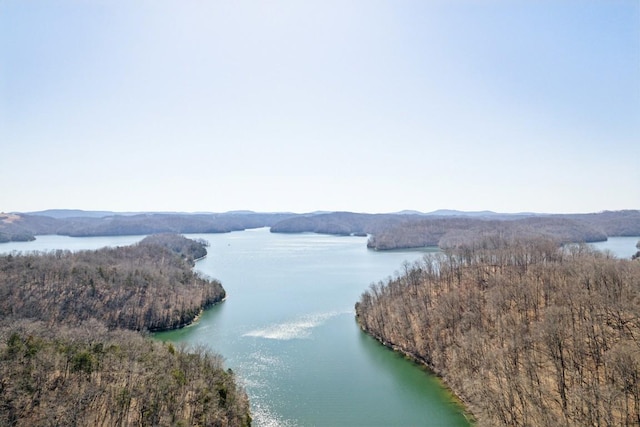 315B Bill Hunter Rd, Celina, TN 38551 - view of water feature