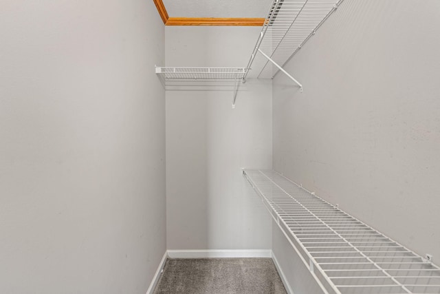 spacious closet with carpet flooring