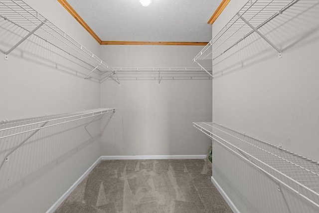 spacious closet with carpet