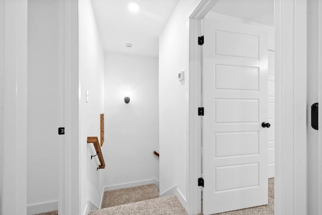 interior space with carpet and baseboards