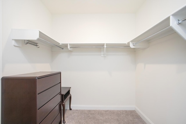 walk in closet with carpet flooring