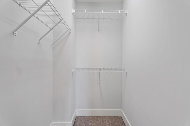 spacious closet featuring carpet flooring