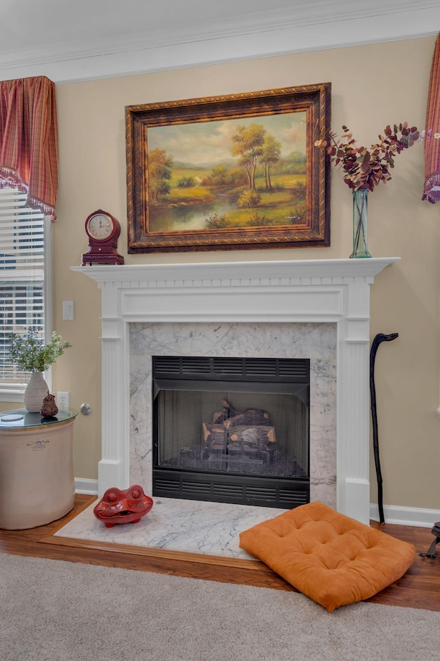 room details with a high end fireplace, crown molding, baseboards, and wood finished floors