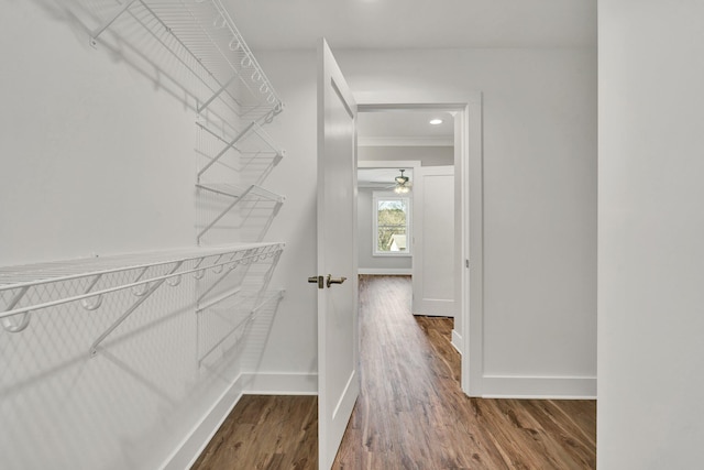 spacious closet featuring wood finished floors