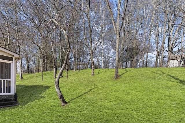 view of yard