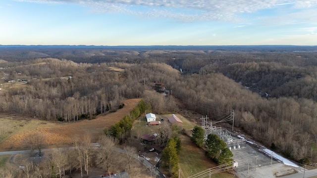 bird's eye view with a view of trees