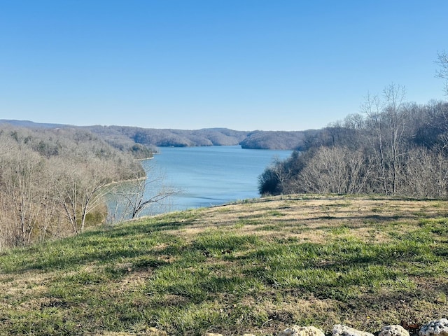 view of water feature with a wooded view