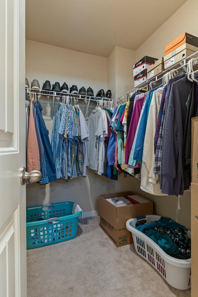 walk in closet with carpet flooring