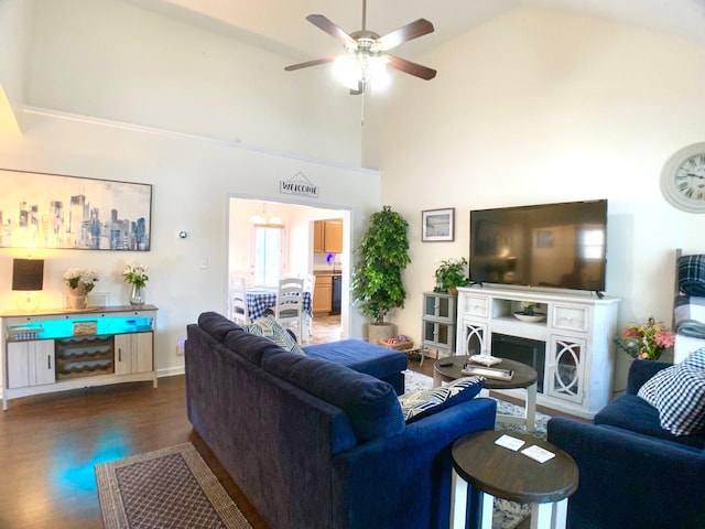1016 Sunset Dr, Clarksville, TN 37040 - living area with a fireplace, high vaulted ceiling, a ceiling fan, and wood finished floors