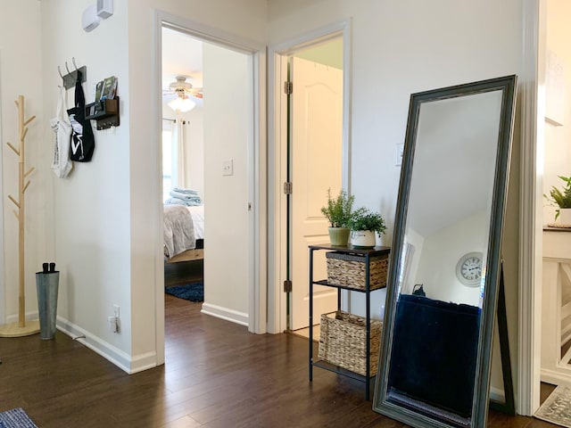1016 Sunset Dr, Clarksville, TN 37040 - corridor featuring dark wood-type flooring and baseboards
