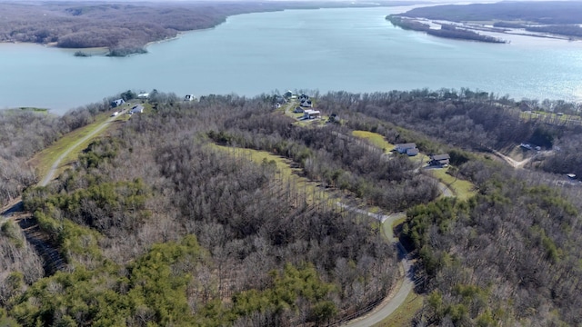 165 Turtle Point Ln, Waverly TN, 37185 land for sale