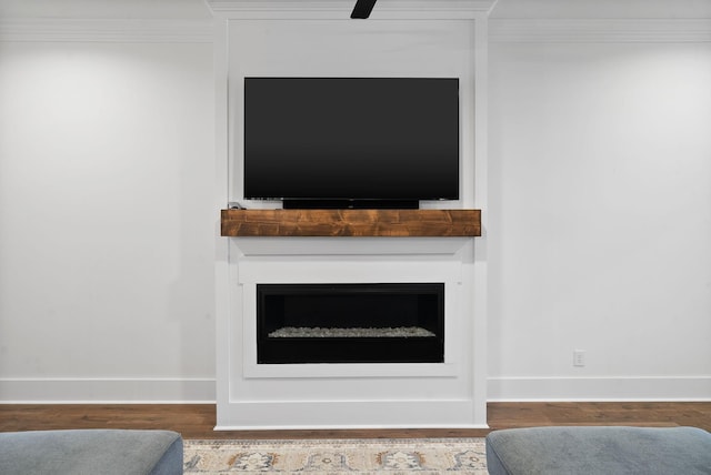 details featuring ornamental molding, baseboards, and a large fireplace