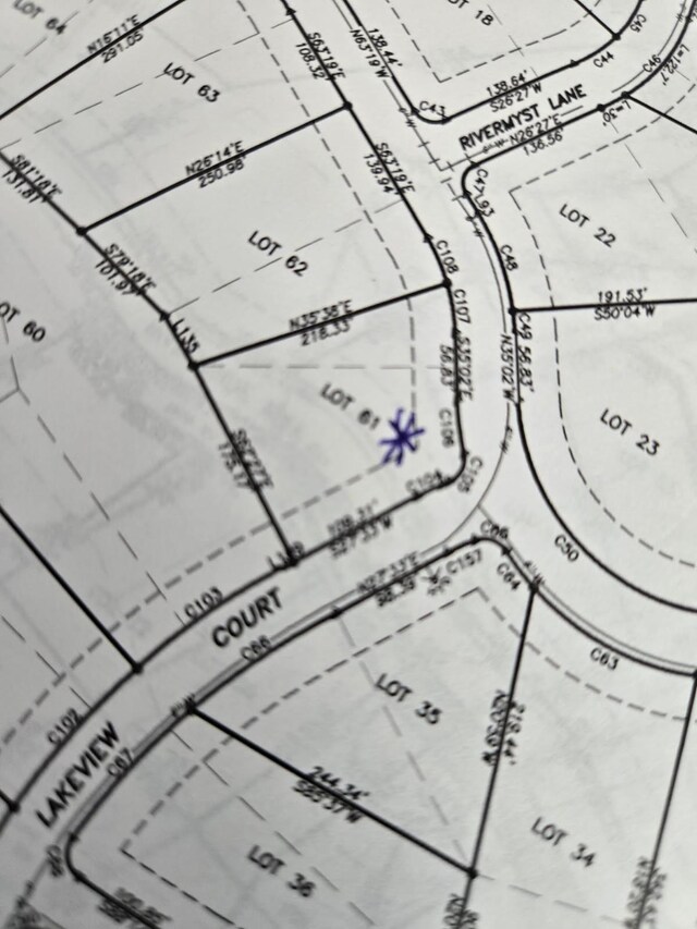116 River Run Trl, Spring City, TN 37381