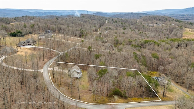 drone / aerial view with a mountain view and a forest view