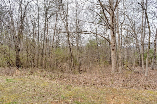 view of nature with a view of trees