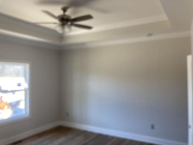 2486 Jason Dr, Chapel Hill, TN 37034 - spare room featuring dark wood-style flooring, a tray ceiling, a ceiling fan, and baseboards