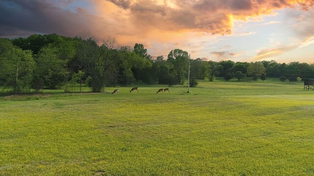 7 Corinth Rd, Mount Juliet, TN 37122