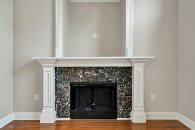 interior details featuring baseboards, wood finished floors, and a high end fireplace