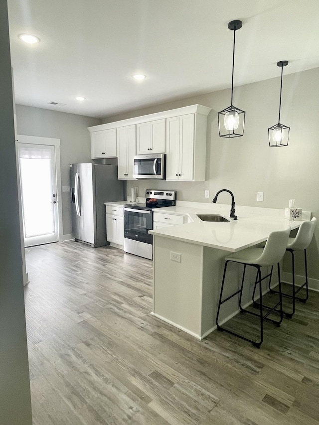 kitchen featuring a sink, a peninsula, wood finished floors, and stainless steel appliances