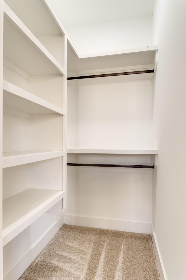 spacious closet with carpet flooring