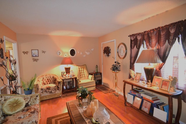 living room featuring wood finished floors