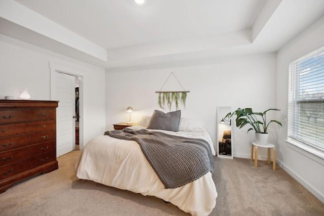 bedroom featuring a spacious closet, carpet flooring, baseboards, and a tray ceiling