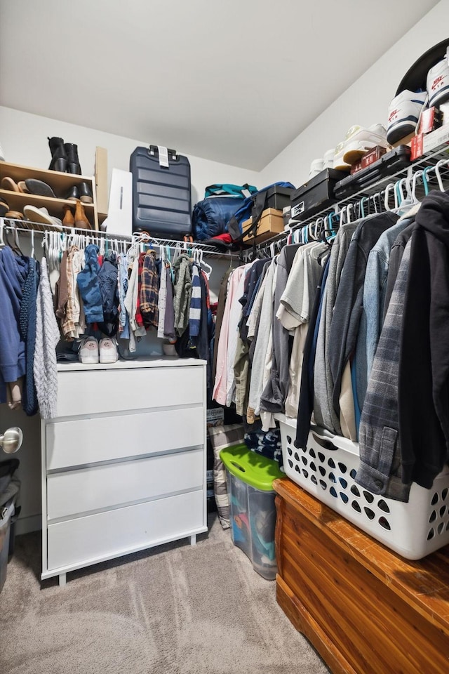 spacious closet featuring carpet