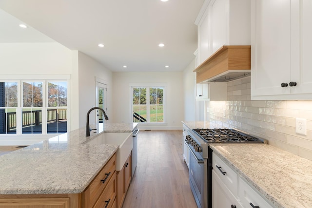 856 Tucker Rd, Dickson, TN 37055 - kitchen with stainless steel appliances, light wood-style flooring, light stone counters, decorative backsplash, and recessed lighting
