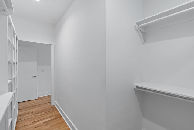 spacious closet featuring light wood-style flooring