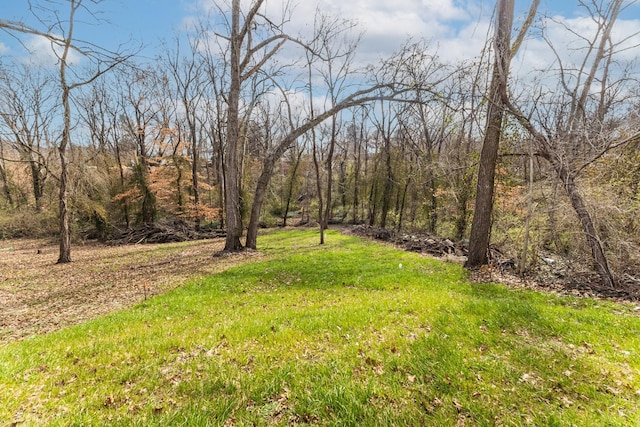 view of yard featuring a wooded view