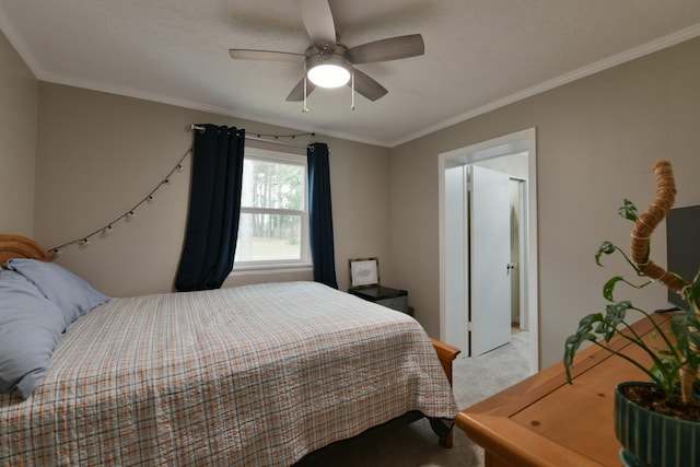 1210 K St, Martin, TN 38237 - photo 9