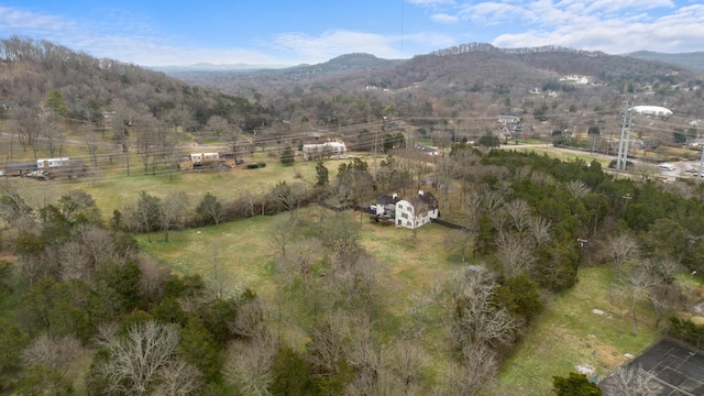 birds eye view of property with a rural view and a mountain view