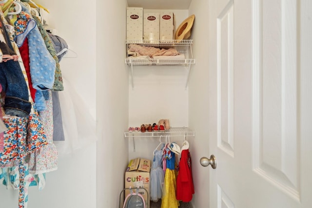 view of walk in closet